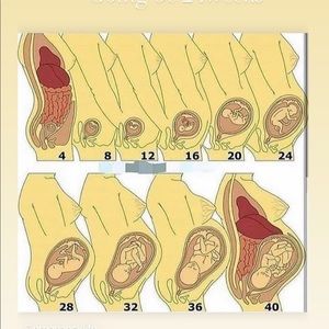 Meet your Posher, Sonia